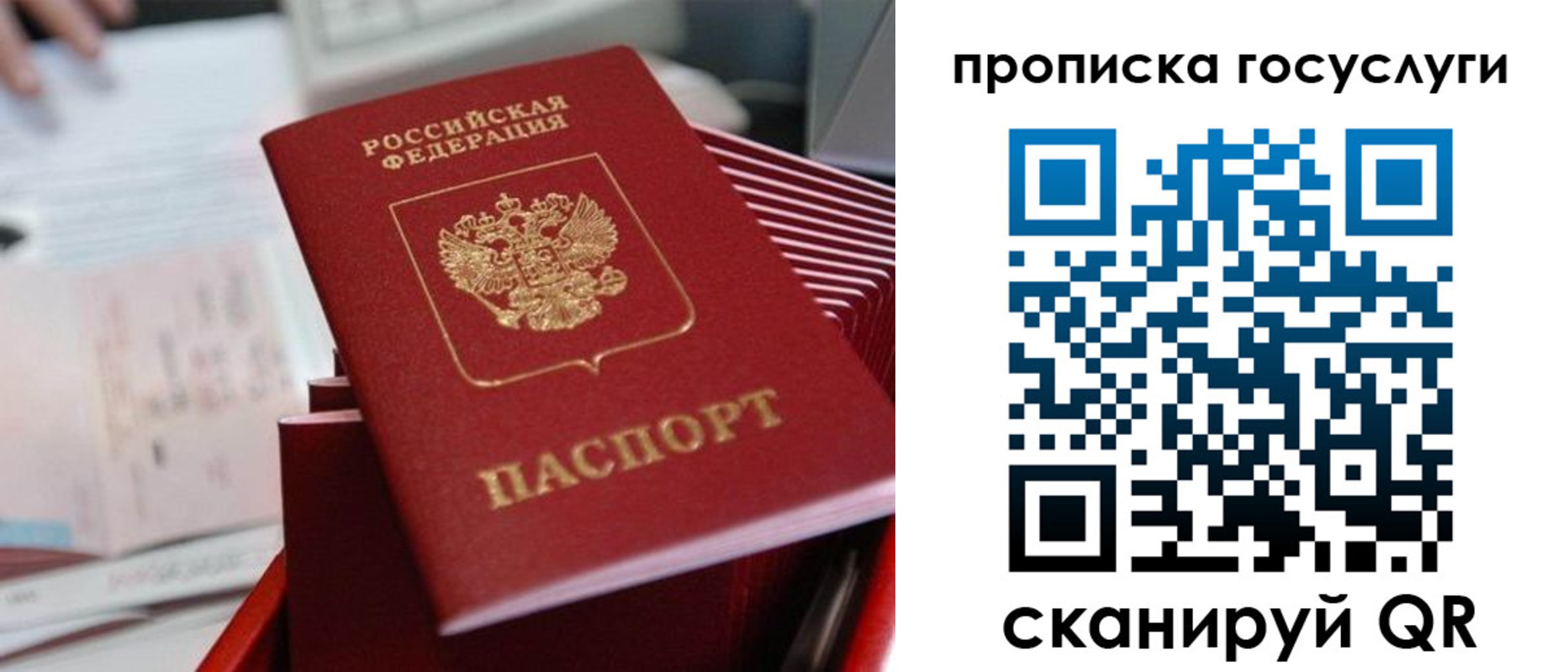 прописка законно в Петухово
